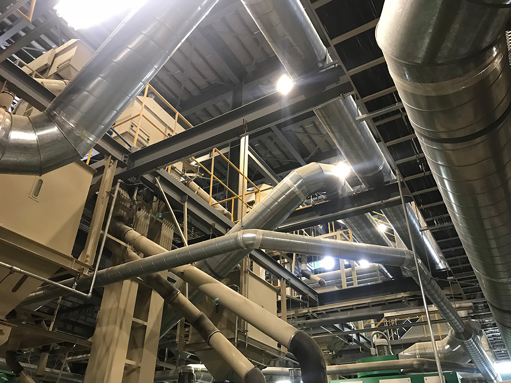 Plant Work 5