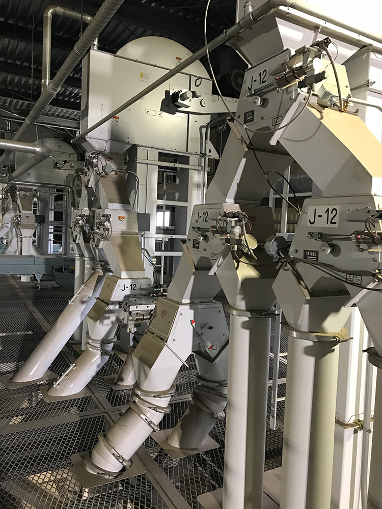 Plant Work 7