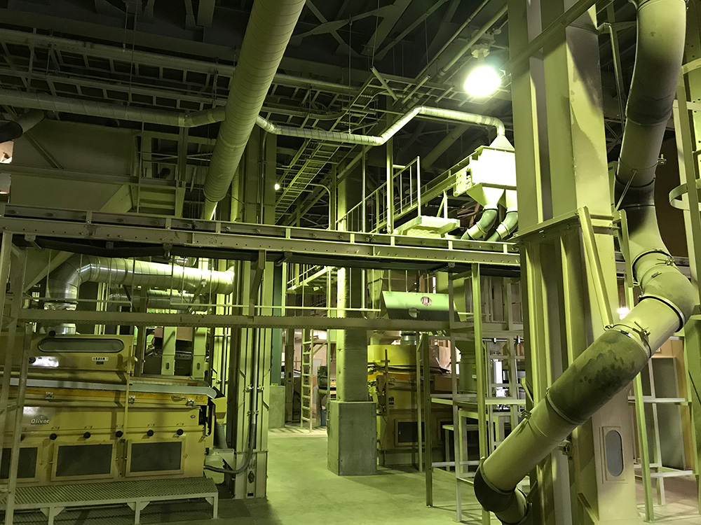 Plant Work 11