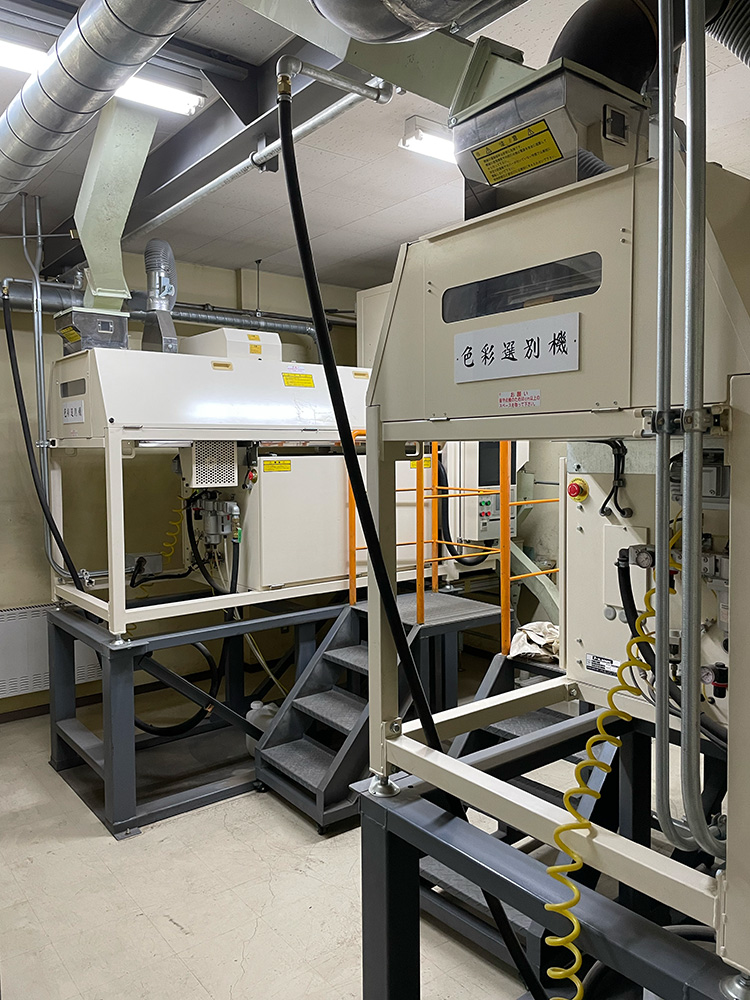 Plant Work 12